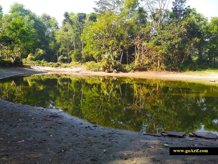 ছবি দেখে পুকুরে পানি কম মনে হলেও, এটার গভীরতা অনেক - Goarif