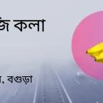 ১ কেজি কলা - শেরপুর, বগুড়া - Goarif