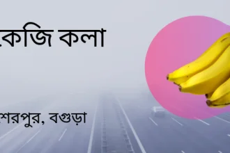 ১ কেজি কলা - শেরপুর, বগুড়া - Goarif