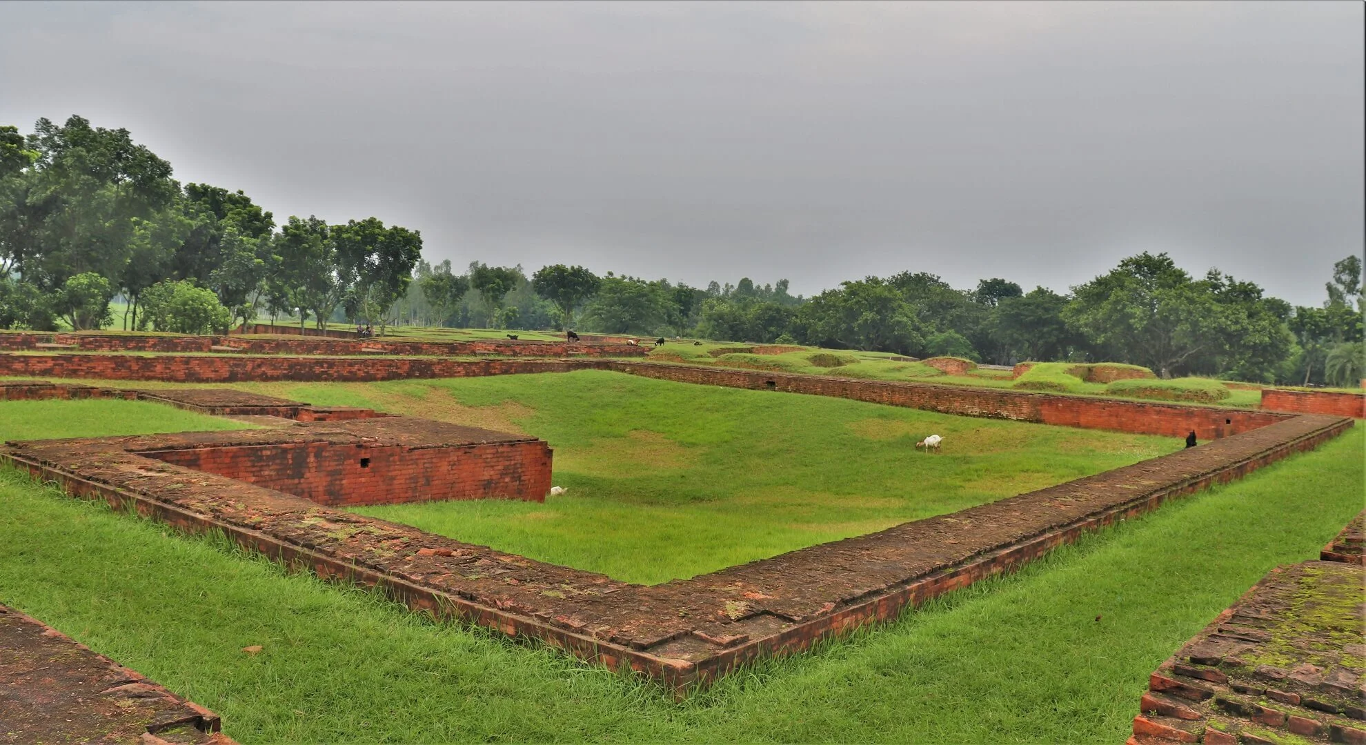 ভাসু বিহার ভ্রমণ - শিবগঞ্জ, বগুড়া - Goarif