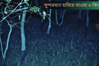 সুন্দরবনে হারিয়ে যাওয়া ৬ কিশোরের শ্বাসরুদ্ধকর ভ্রমণ কাহিনী - Goarif