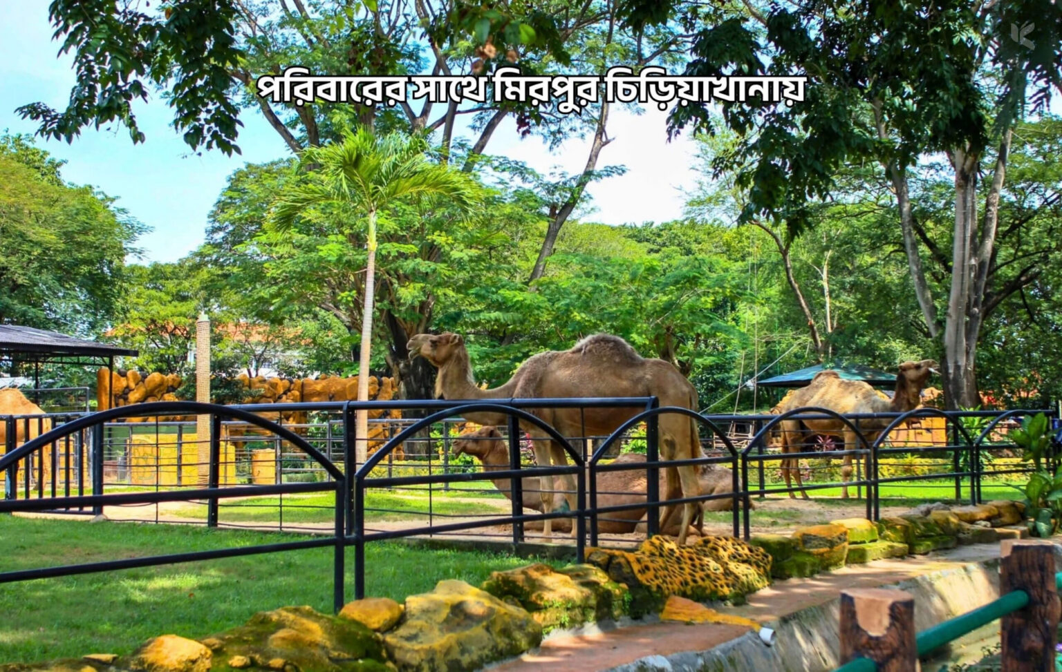 পরিবারের সাথে মিরপুর চিড়িয়াখানায় - কুহুডাক