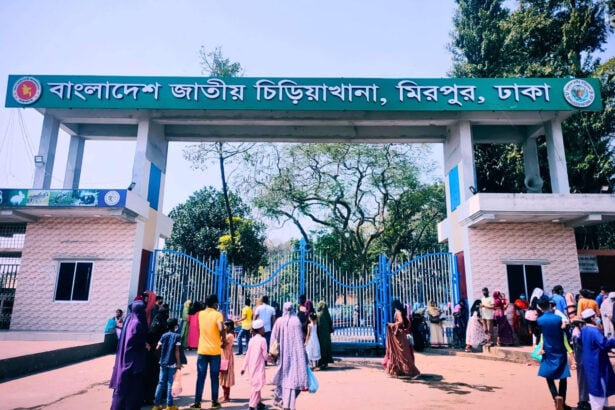 বাংলাদেশ জাতীয় চিড়িয়াখানা, ঢাকা - কুহুডাক