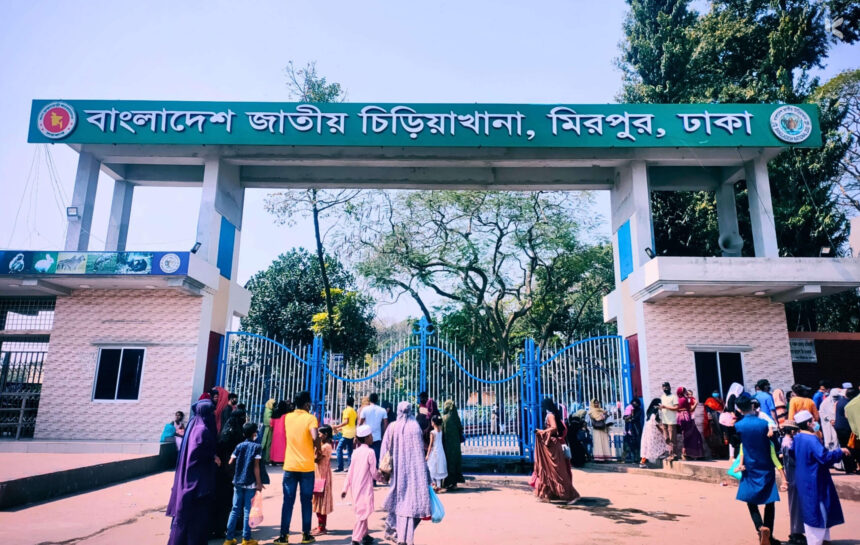 বাংলাদেশ জাতীয় চিড়িয়াখানা, ঢাকা - কুহুডাক