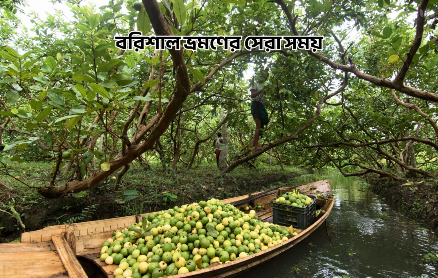 বরিশাল ভ্রমণের সেরা সময় - কুহুডাক