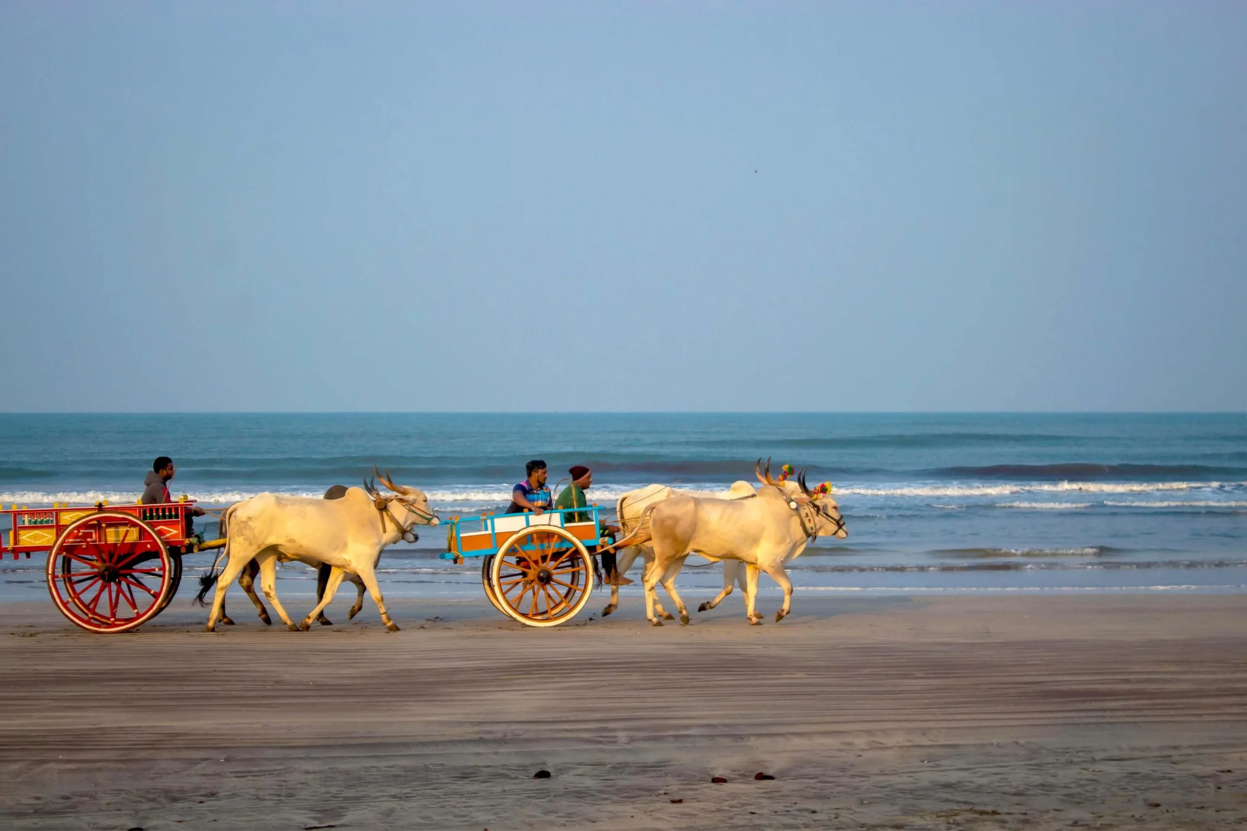 গরুর গাড়ি - কুহুডাক আর্কাইভ