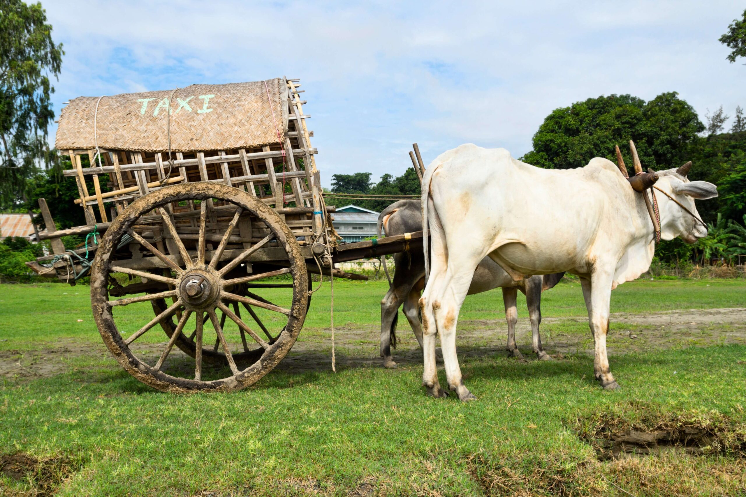 গরুর গাড়ি - কুহুডাক আর্কাইভ