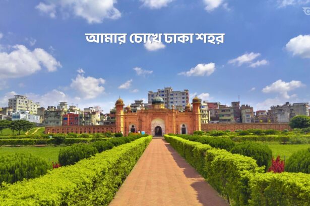 আমার চোখে ঢাকা শহর - GoArif