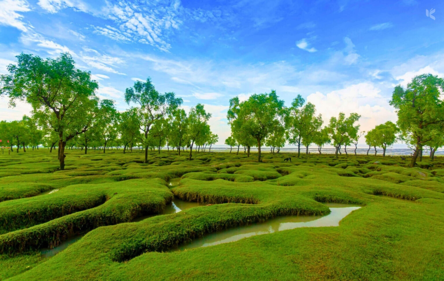 গুলিয়াখালী সমুদ্র সৈকত, সীতাকুণ্ড - কুহুডাক