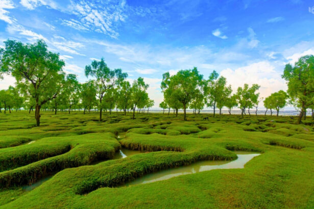 গুলিয়াখালী সমুদ্র সৈকত, সীতাকুণ্ড - কুহুডাক