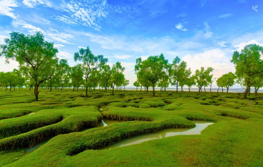 গুলিয়াখালী সমুদ্র সৈকত, সীতাকুণ্ড - কুহুডাক