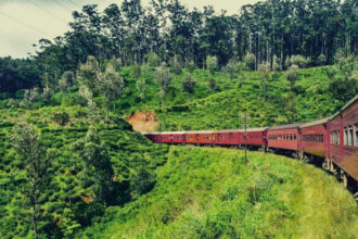 ক্ষণিকের যাত্রা - কুহুডাক