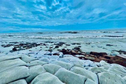 কুয়াকাটা সমুদ্র সৈকত, পটুয়াখালী - কুহুডাক