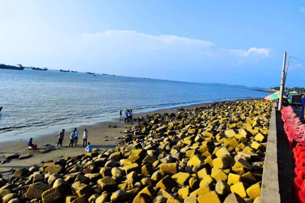 পতেঙ্গা সমুদ্র সৈকত - কুহুডাক