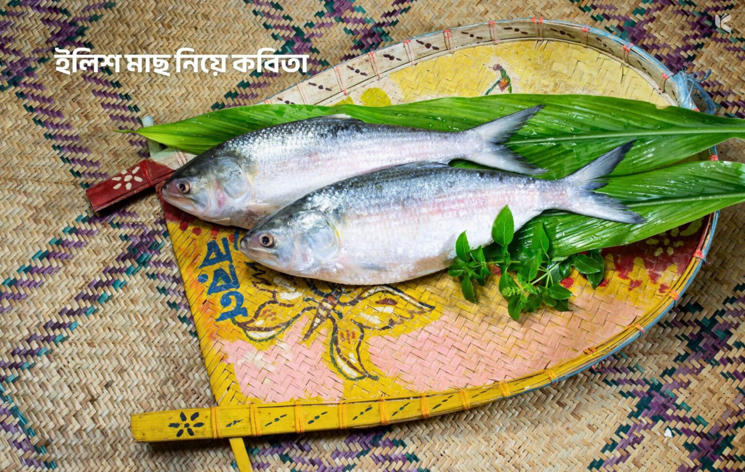 ইলিশ মাছ নিয়ে কবিতা - কুহুডাক