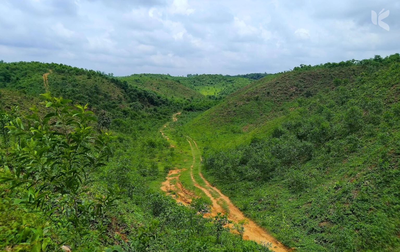 রাজার পাহাড়, শ্রীবরদী - Kuhudak