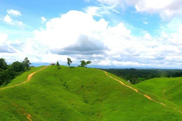 রাজার পাহাড়, শেরপুর - কুহুডাক