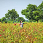 গোলাপ গ্রাম, সাভার - কুহুডাক