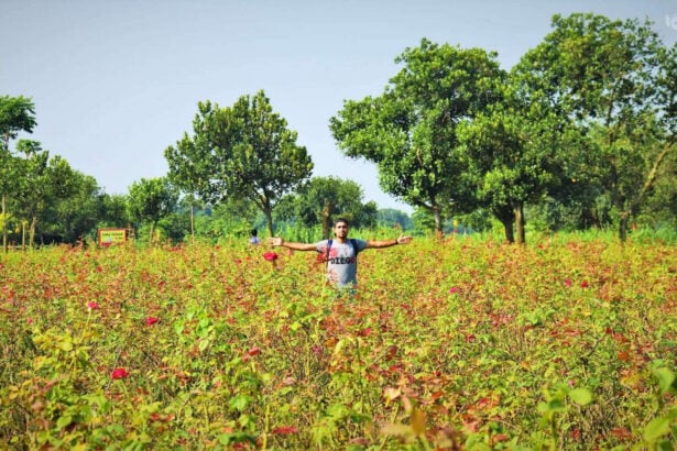 গোলাপ গ্রাম, সাভার - কুহুডাক