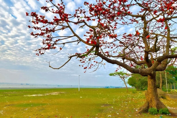 ষাটনল পর্যটন কেন্দ্র, চাঁদপুর - কুহুডাক
