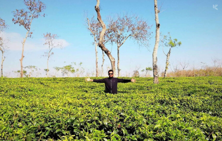 শ্রীমঙ্গল, মৌলভীবাজার - কুহুডাক