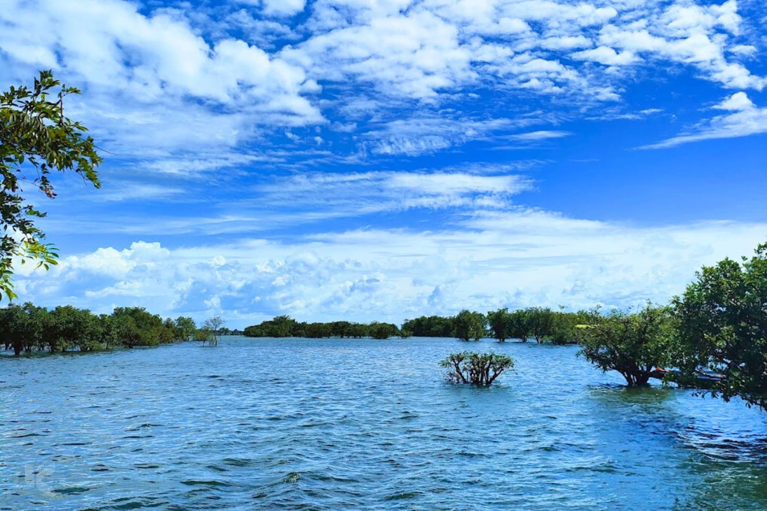 টাঙ্গুয়ার হাওর, সুনামগঞ্জ - কুহুডাক