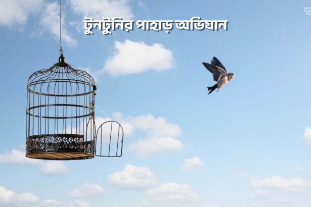 টুনটুনির পাহাড় অভিযান - GoArif